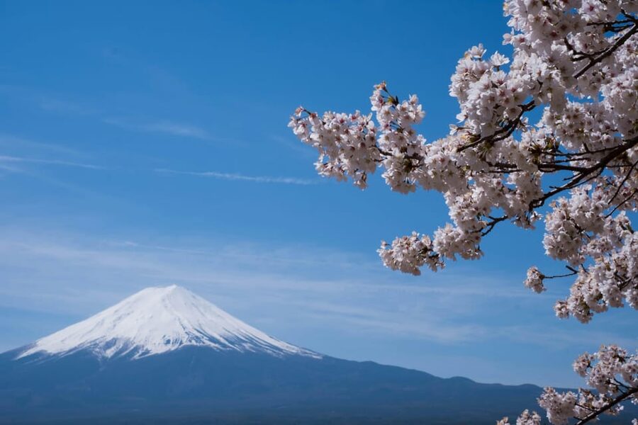 1-Day Mt Fuji and Hakone Sightseeing trip from Tokyo - Key Points I Think Matter Most