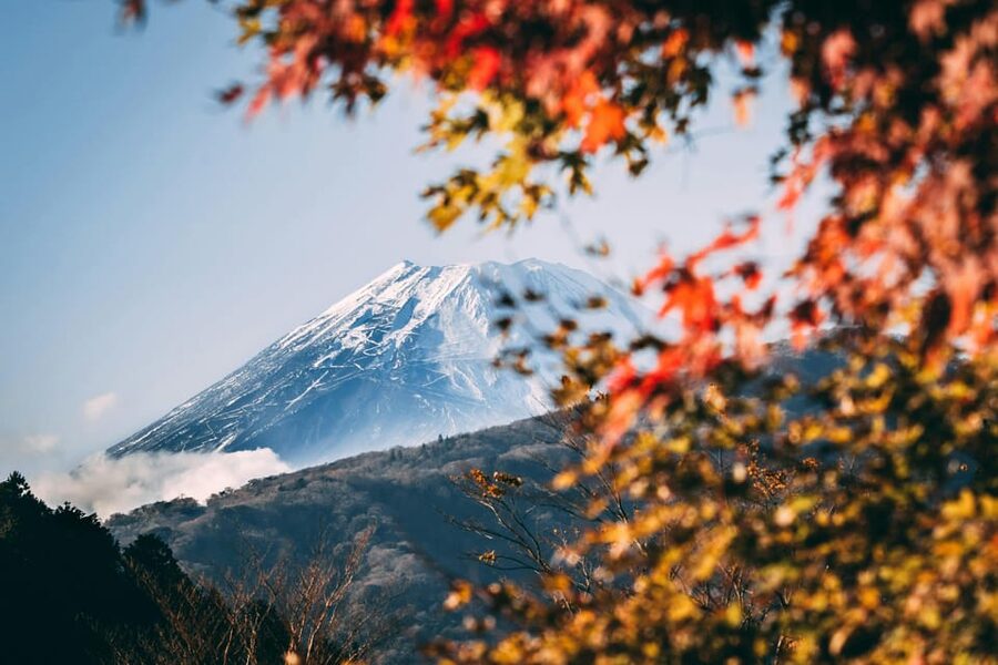 1-Day Mt Fuji and Hakone Sightseeing trip from Tokyo - Lake Kawaguchi: Boat Cruise Time and That Fuji-Window Feeling
