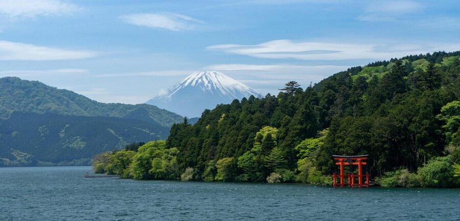 1-Day Mt Fuji and Hakone Sightseeing trip from Tokyo - Oishi Park: Shopping, Sightseeing, and Another Fuji Angle