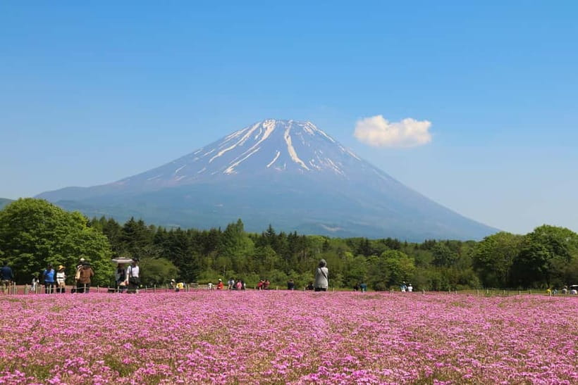 1-Day Mt Fuji and Hakone Sightseeing trip from Tokyo - Owakudani Valley: Volcanic Views and the Hakone Mood Shift