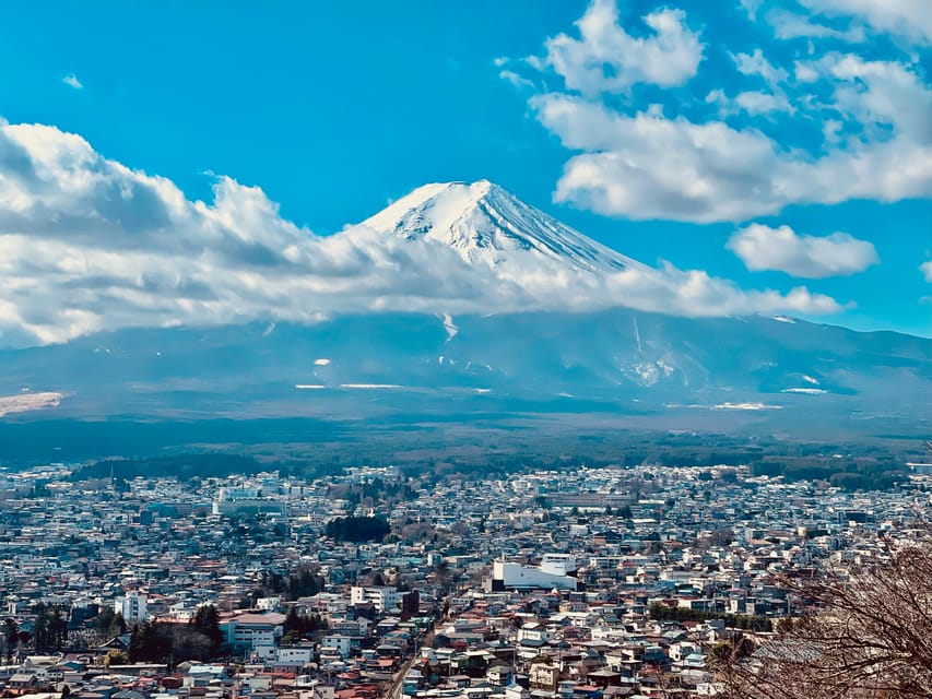 1-Day Mt Fuji and Hakone Sightseeing trip from Tokyo - Hakone Shrine: A Peaceful End Before the Ride Back