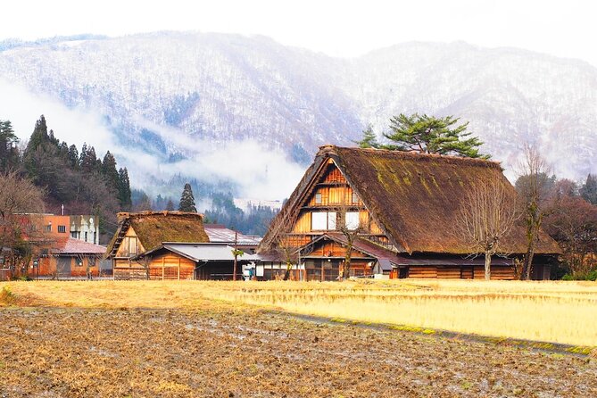1 Day Private Charter Tour to Shirakawa-go & Takayama - Price and what $575 really buys (for up to 3 people)