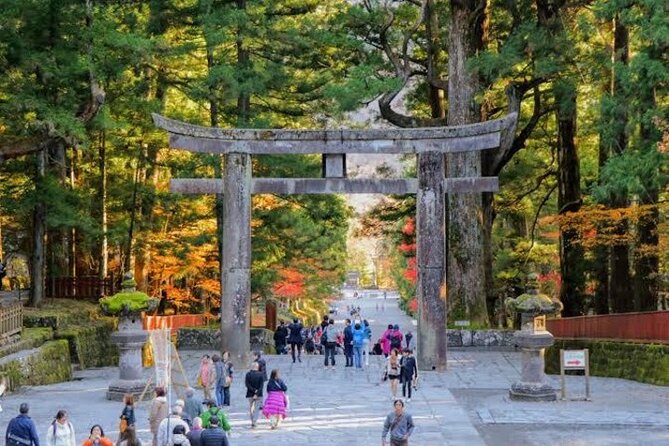 1- Day Private Tour to Nikko Tochigi With English Speaking Driver - Kegon Falls: 97 meters of straight-down drama