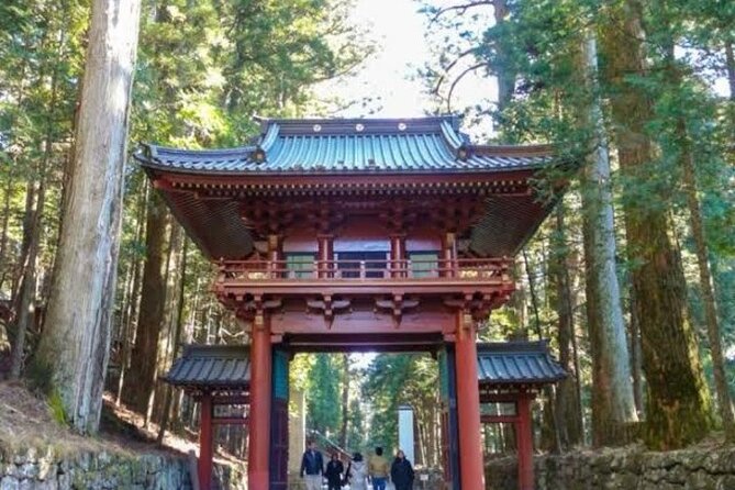 1- Day Private Tour to Nikko Tochigi With English Speaking Driver - Door-to-door pickup, English-speaking help, and why it matters