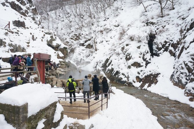 1-Day Snow Monkeys, Zenko-ji Temple & Sake in Nagano - Stop 3: Jigokudani Snow Monkey Park, rules, real snow, real wildlife