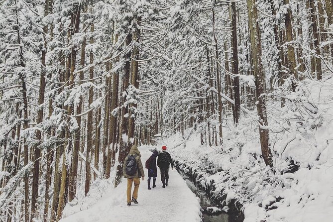 1-Day Snow Monkeys, Zenko-ji Temple & Sake in Nagano - What you get for the price: value that actually feels real