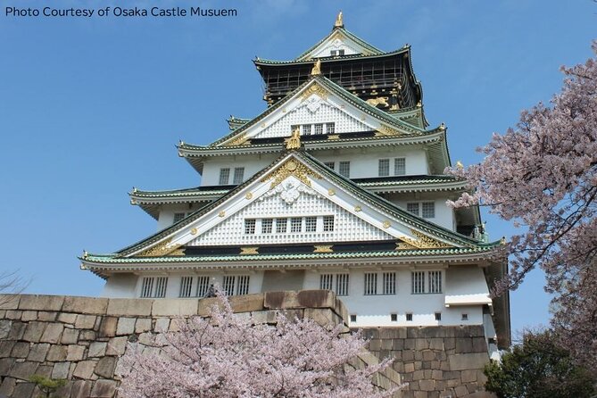 1 Day Takoyaki Making and Osaka Castle Walking Tour - Key highlights worth penciling in