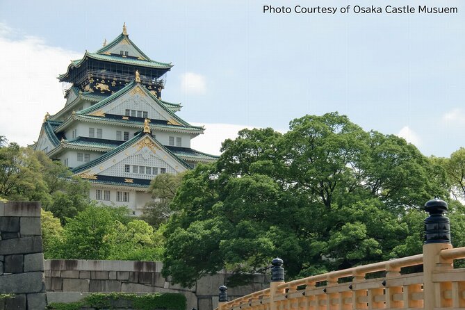 1 Day Takoyaki Making and Osaka Castle Walking Tour - Walking logistics that actually affect your day