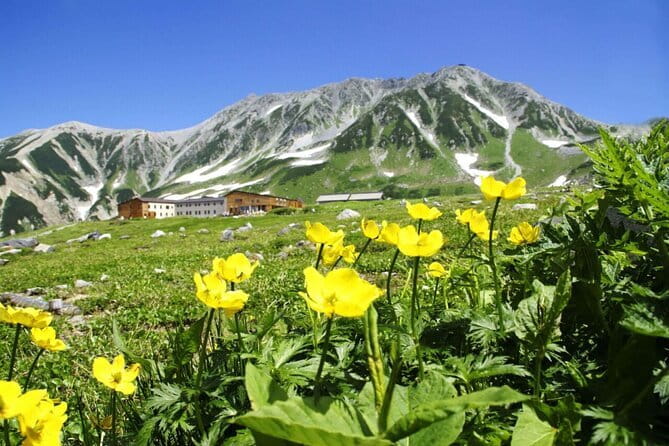 1-Day Tateyama-Kurobe Tour: Walking on the 'Roof of Japan' - Key takeaways at a glance