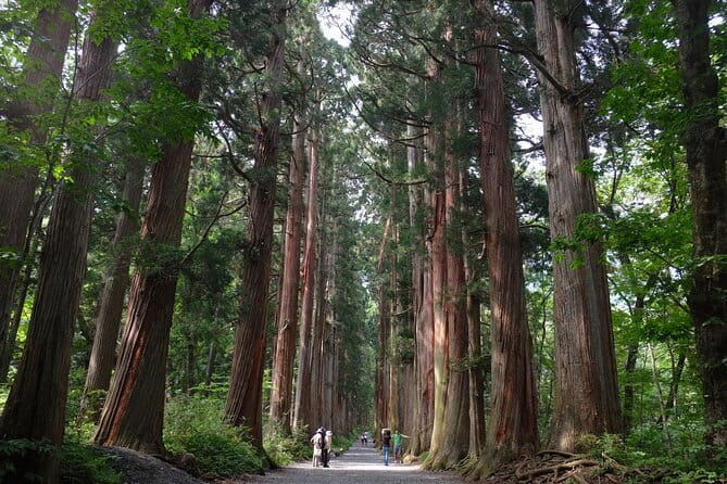 1-Day Togakushi Tour: Soba making, Ninja Town, and Hidden Shrines - Key Things That Make This Tour Worth Your Time