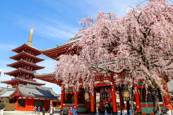 1-Day Tokyo Bus Tour - Key highlights that actually matter