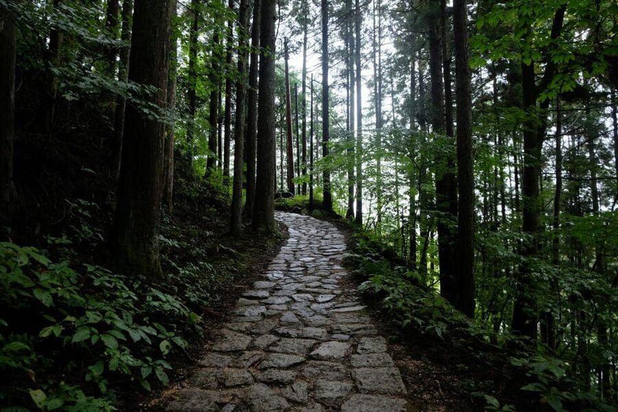 1-Day Tour from Nagoya: Hiking the Historic Nakasendo Trail - Key takeaways