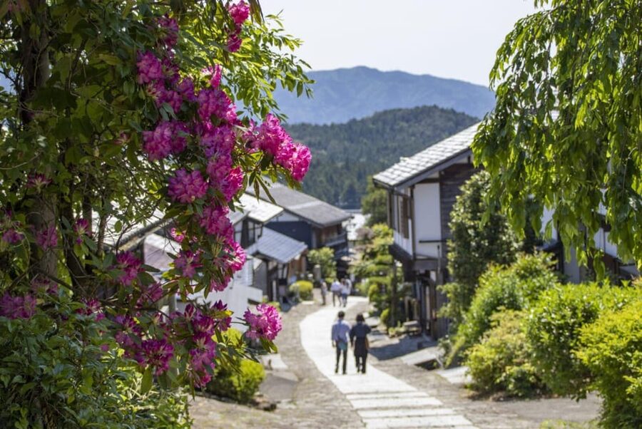 1-Day Tour from Nagoya: Hiking the Historic Nakasendo Trail - Guide-led history you can use on the ground