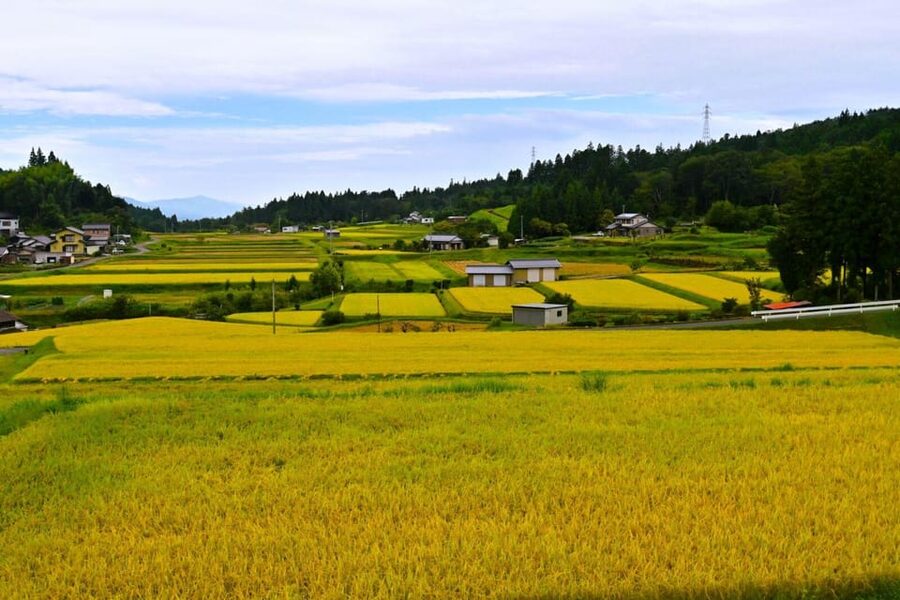 1-Day Tour from Nagoya: Hiking the Historic Nakasendo Trail - Bus timing: the tradeoff that makes the hiking part easier