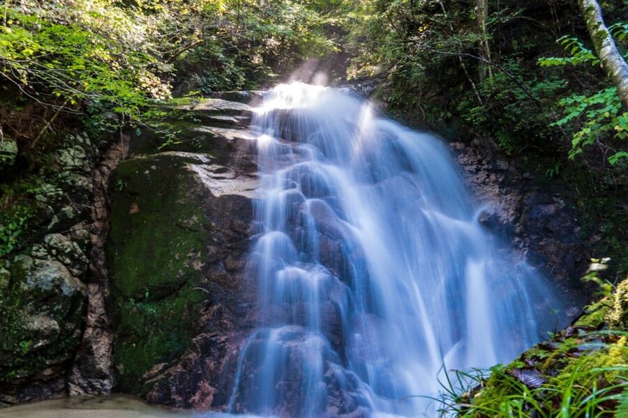 1-Day Tour from Nagoya: Hiking the Historic Nakasendo Trail - The 8 km Nakasendo hike: pace, footing, and real trail variety