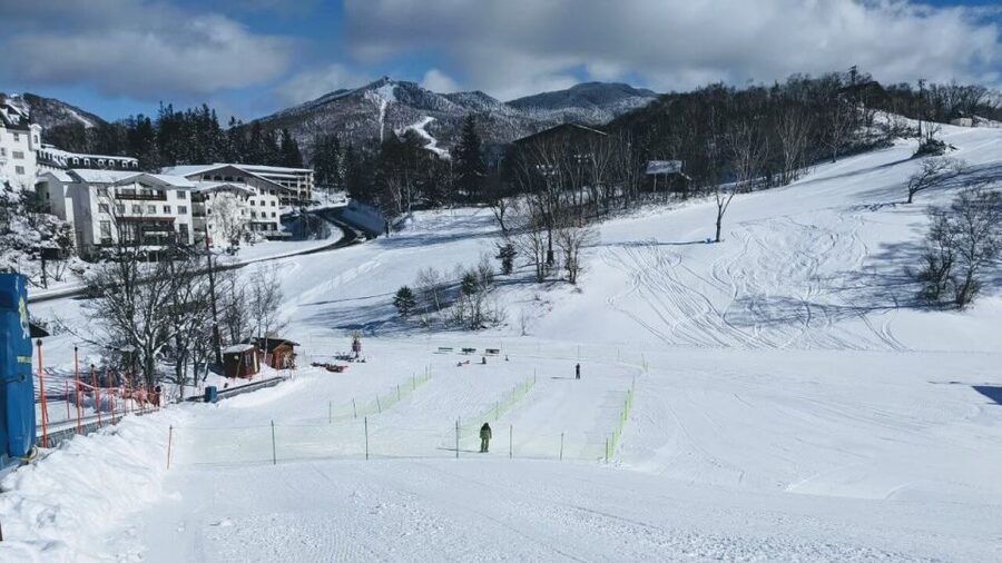 1 Day Tour: Snow Monkeys & Snow Fun in Shiga Kogen - What if the monkeys do not do the usual thing