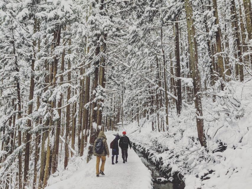 1 Day Tour: Snow Monkeys & Snow Fun in Shiga Kogen - Price and value for a $165 day, plus the costs you should expect