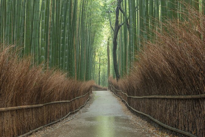 10 Must-see Spots in Kyoto One Day Private Tour (up to 7 people) - The real value of a private 10-stop Kyoto day