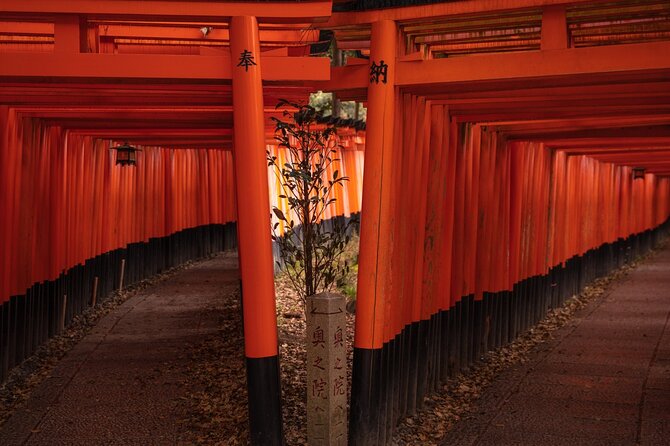 10 Must-see Spots in Kyoto One Day Private Tour (up to 7 people) - Stop 6: Fushimi Inari-taisha and the Torii gate walk