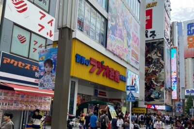 100% PRIVATE Anime, Manga, Game & Pop Culture Tour in Akihabara