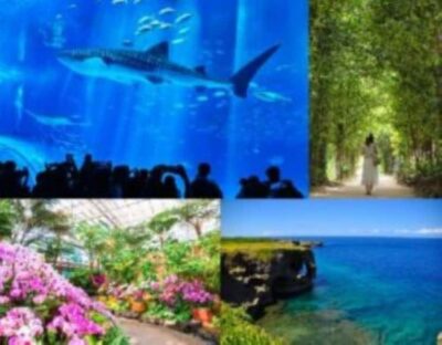 <1Dya Tour>Churaumi Aquarium, Cape Manzamo, American Village