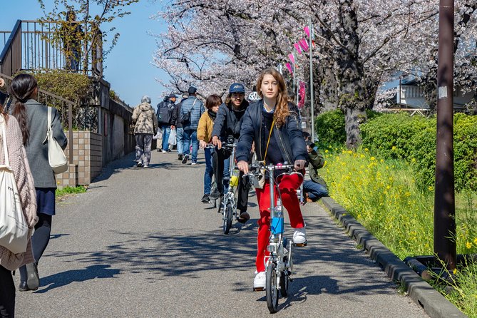 2.5 Hour-Guided Cycle Tour in the Central Tokyo - Price and what you actually get for $50.08