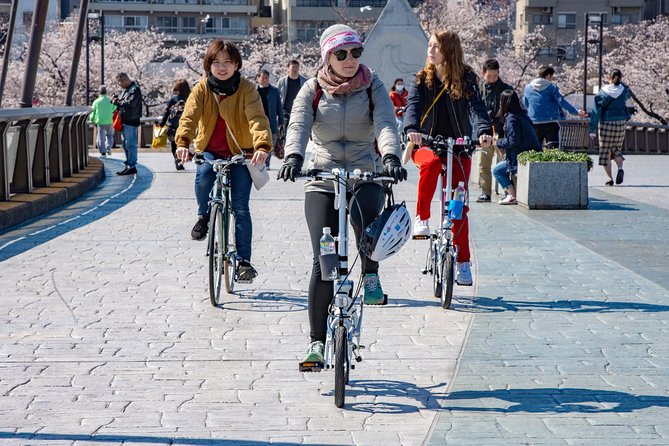 2.5 Hour-Guided Cycle Tour in the Central Tokyo - Should you book this Central Tokyo bike tour?