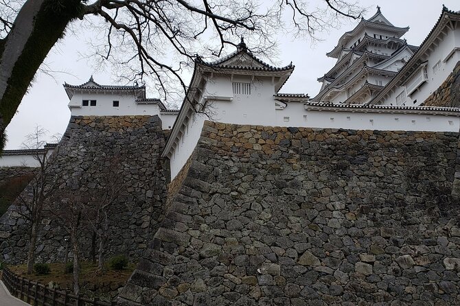 2.5 Hour Private History and Culture Tour in Himeji Castle - Meeting at the ticket area and staying on schedule