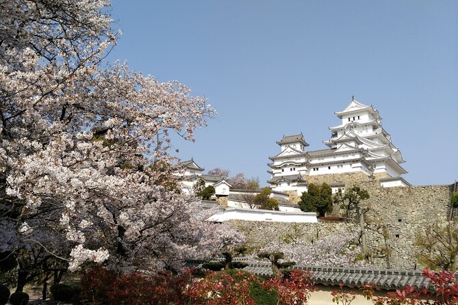 2.5 Hour Private History and Culture Tour in Himeji Castle - Pace, walking, and what to watch for on-site