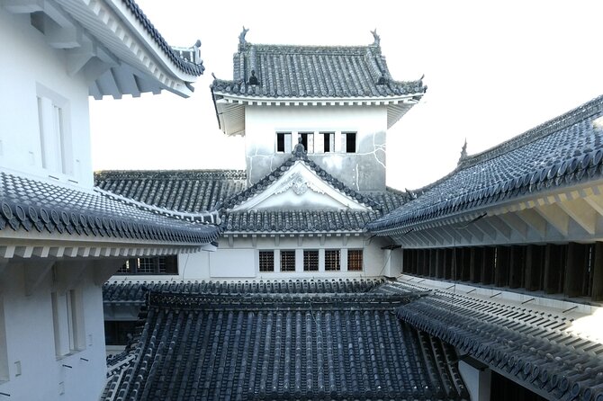 2.5 Hour Private History and Culture Tour in Himeji Castle - Who this private tour suits best