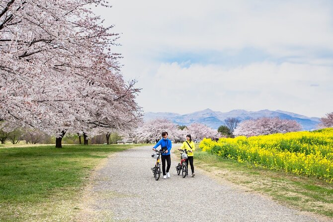 Akagi Great Countryside E-Bike Tour　 - Local Attractions