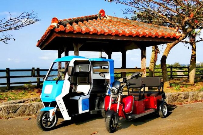 2h 3-Seater Electric Trike Rental (Ishigaki, Okinawa) - Just The Basics