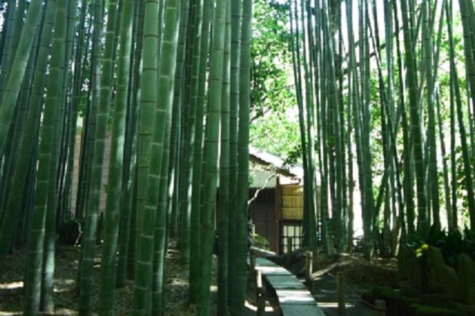Kamakura Bamboo Forest and Great Buddha Private Tour - Tour Pricing