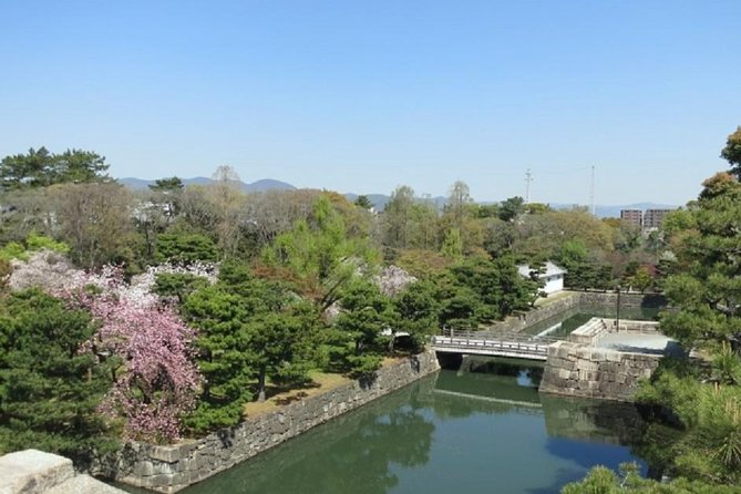 Private Nijo Castle Sightseeing and Nishiki Food Tour - Local Guide Assistance