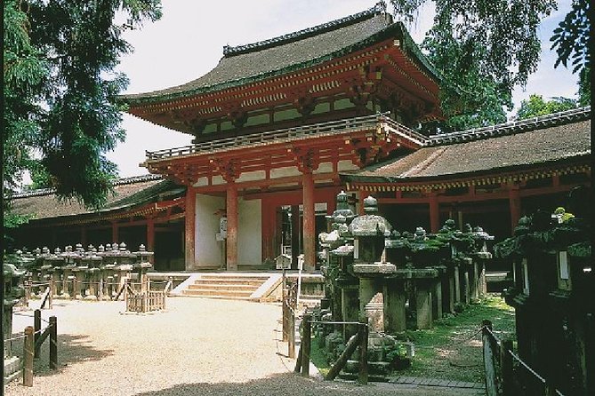Nara Afternoon Tour - Todaiji Temple and Deer Park From Kyoto - Tour Highlights