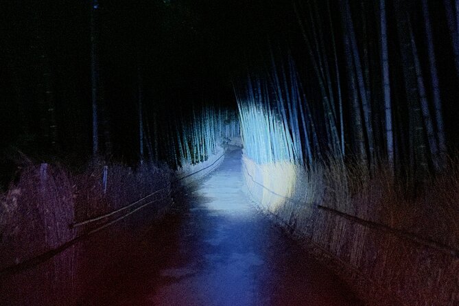 Ghost Hunting in the Bamboo Forest - Arashiyama Kyoto at Night - Just The Basics