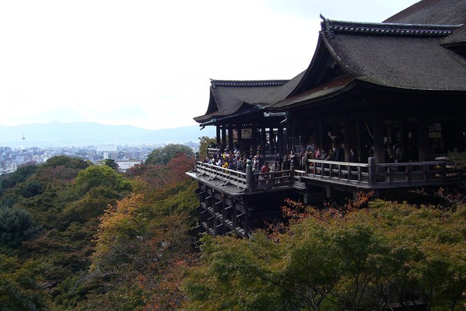 Private Highlights of Kyoto Tour - Highlights and Recommendations