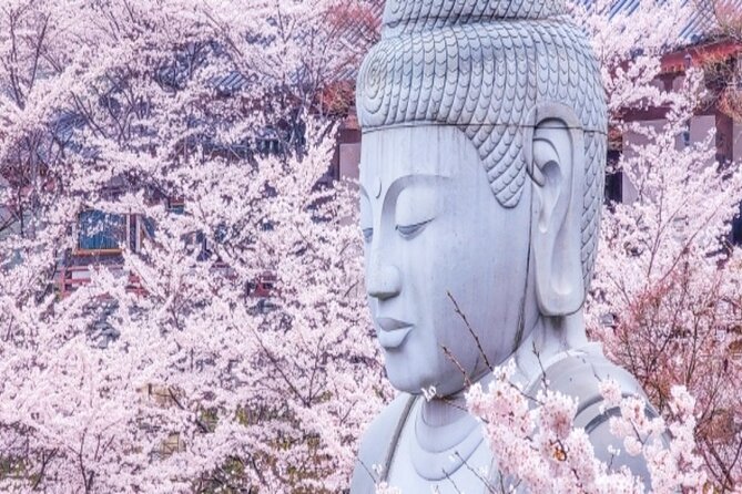 Cherry Blossom Buddha and Mt.Yoshino With Strawberry Picking Tour - Just The Basics