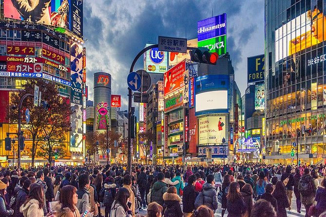 Shibuya All You Can Eat Food Tour Best Experience in Tokyo - Rave Reviews