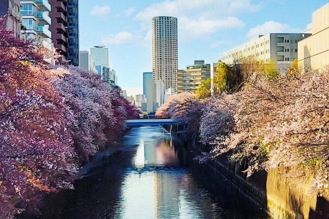 Licensed Guide Tokyo Meguro Cherry Blossom Walking Tour - Just The Basics