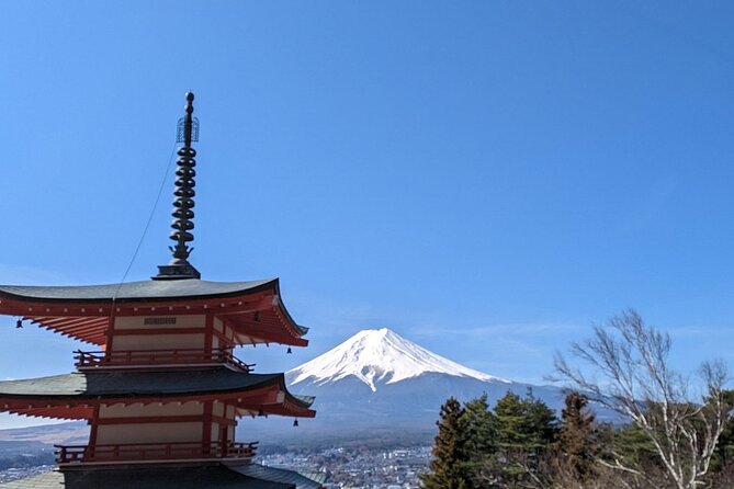 Mt. Fuji and Lake Kawaguchi Day Trip With English Speaking Driver - Customer Reviews and Ratings Breakdown