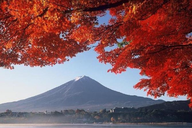 Mt Fuji, Hakone, Lake Ashi Cruise 1 Day Bus Trip From Tokyo - Final Words