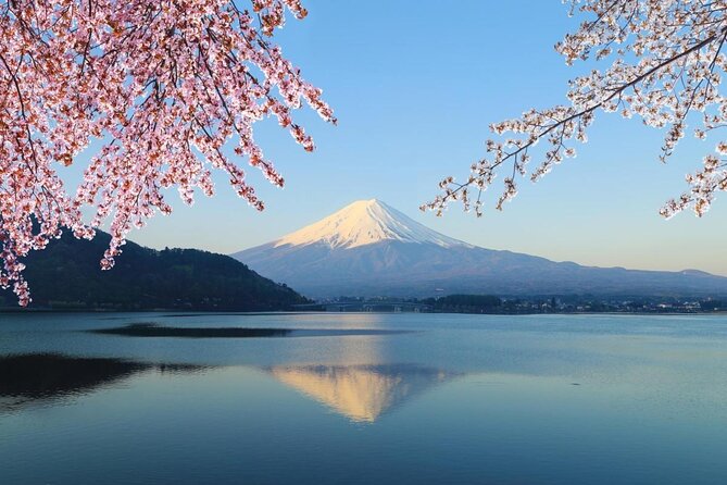 Full Day Private Tour With English Speaking Driver in Mount Fuji - Just The Basics