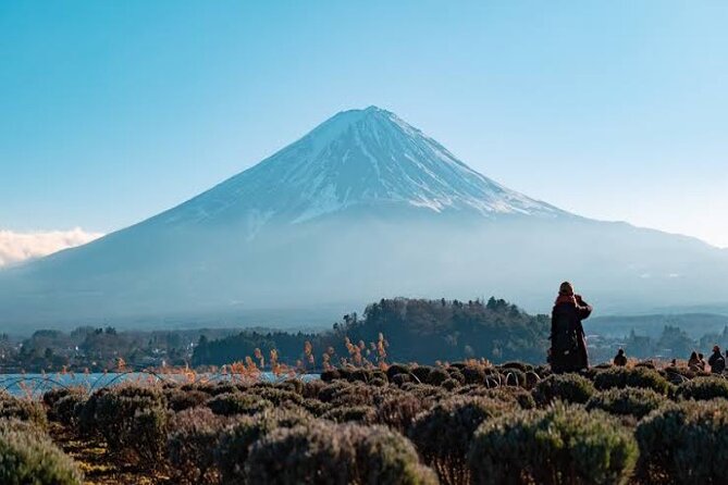 Full Day Private Tour With English Speaking Driver in Mount Fuji - Itinerary Overview