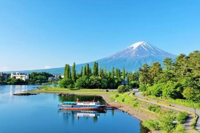 Full Day Private Tour With English Speaking Driver in Mount Fuji - Shopping and Souvenir Opportunities