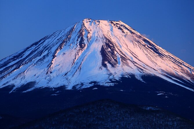 Tokyo to Mt Fuji, Oshino Hakkai: 1-Day Group Tour and Shopping (Mar ) - Inclusions and Exclusions