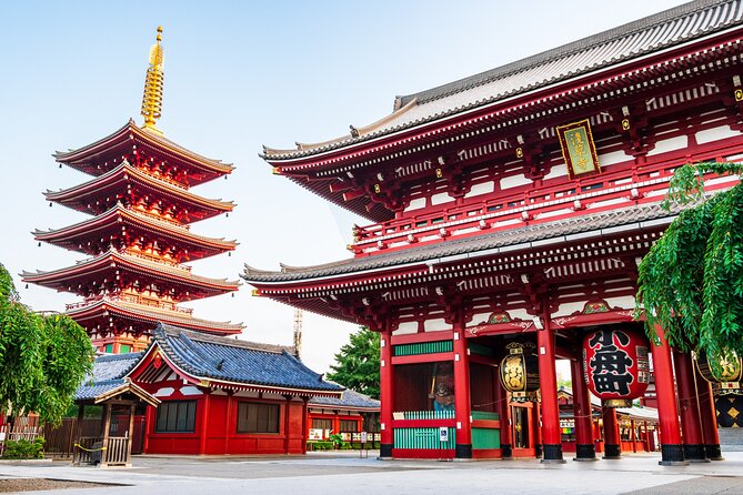 Private Tokyo Tour With Government Licensed Guide & Vehicle (Max 7 Persons) - Reviews