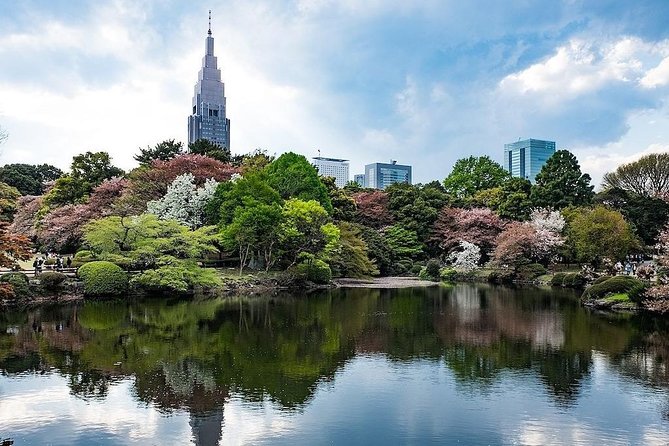 Tokyo Japanese Garden Lovers Private Tour With Government-Licensed Guide - Inclusions and Experiences
