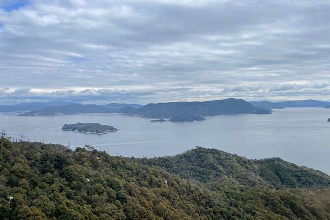 Miyajima Island Tour With Certified Local Guide - Just The Basics