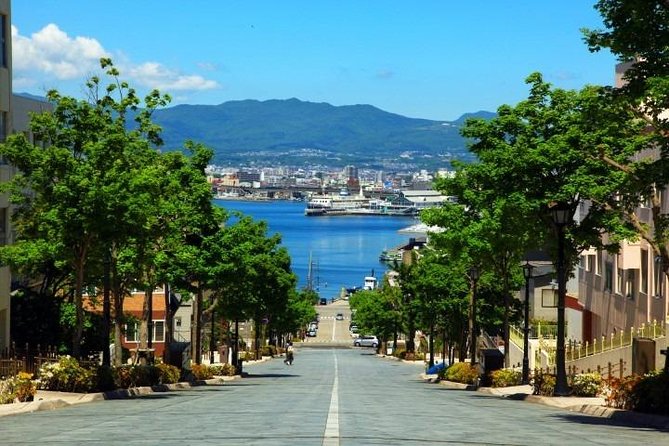 Hakodate Half-Day Private Tour With Government-Licensed Guide - Reviews and Pricing